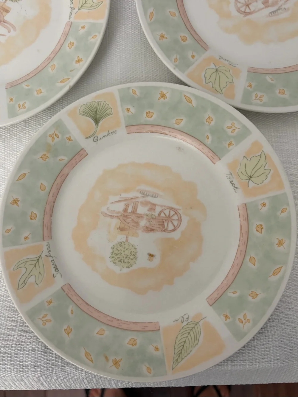 Country Garden 8856 Stoneware Plates Set of 3 (F280)
